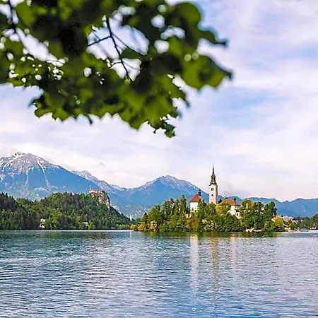 Campsite Alp Glamping Village Radovljica