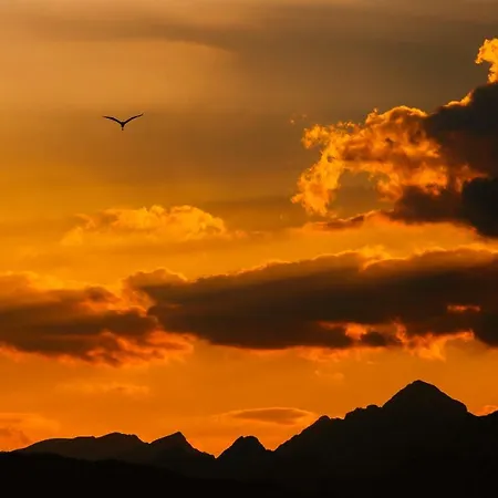 Alp Glamping Village *