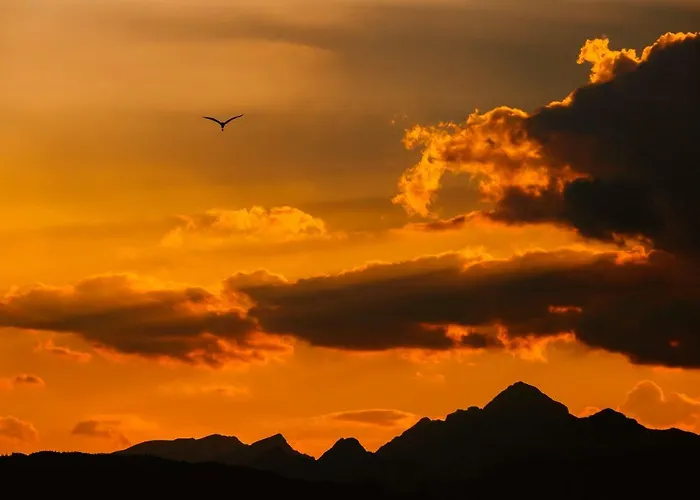 Alp Glamping Village *